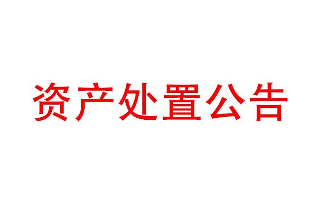 閑置設(shè)備資產(chǎn)處置公告(2023-23)